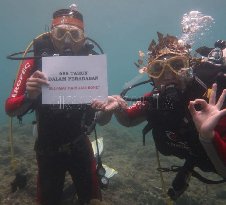 Potensi Wisata Bahari Teluk Bone